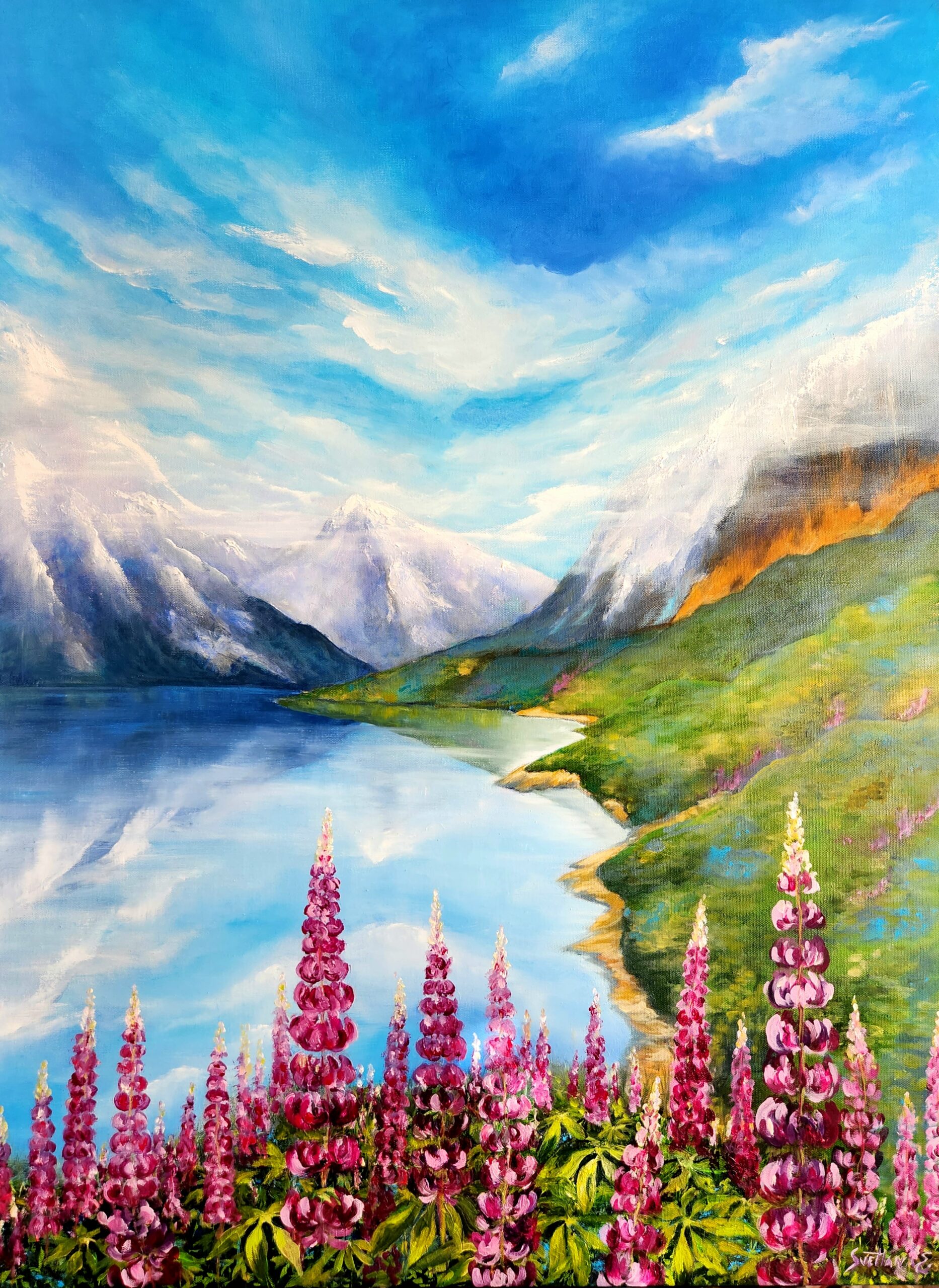 Lupines at Glacier National Park